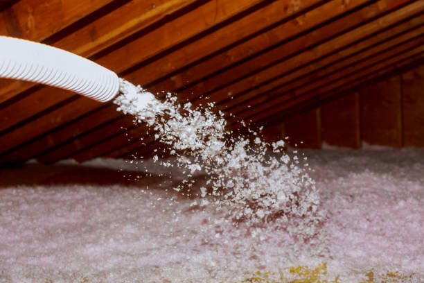 Best Specialized Insulation Services in Lexington, NC